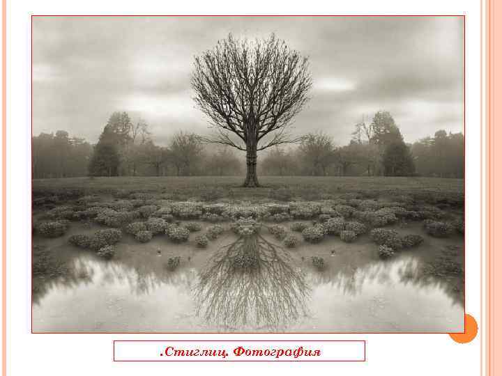 . Стиглиц. Фотография 