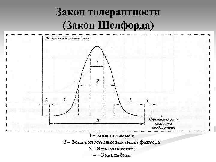 Закон толерантности. Шелфорд закон оптимума. Кривая закона толерантности Шелфорда.