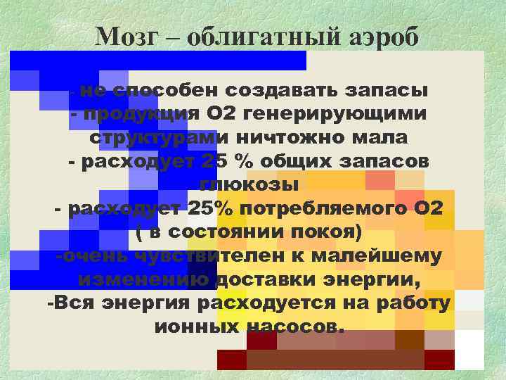 Мозг – облигатный аэроб - не способен создавать запасы - продукция Мозг – облигатный аэроб - не способен создавать запасы - продукция