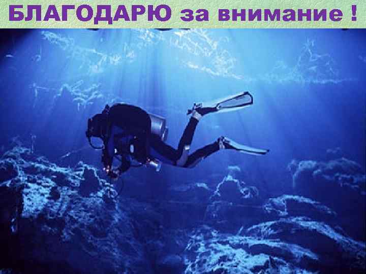 БЛАГОДАРЮ за внимание ! БЛАГОДАРЮ за внимание !