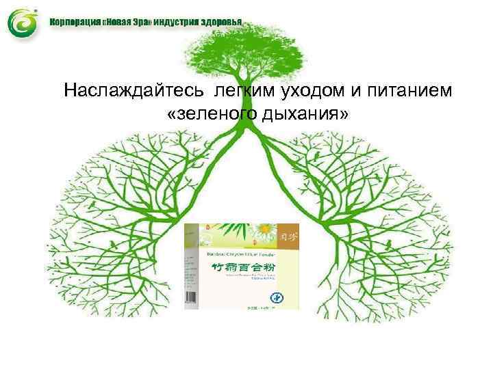 Наслаждайтесь легким уходом и питанием «зеленого дыхания» Наслаждайтесь легким уходом и питанием «зеленого дыхания»