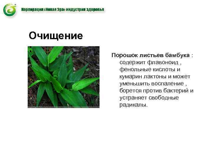 Очищение : Порошок листьев бамбука : содержит флавоноид , Очищение : Порошок листьев бамбука : содержит флавоноид ,