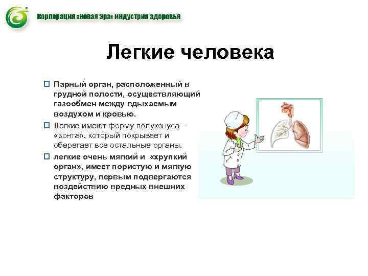 Легкие человека p Парный орган, расположенный в грудной полости, осуществляющий Легкие человека p Парный орган, расположенный в грудной полости, осуществляющий