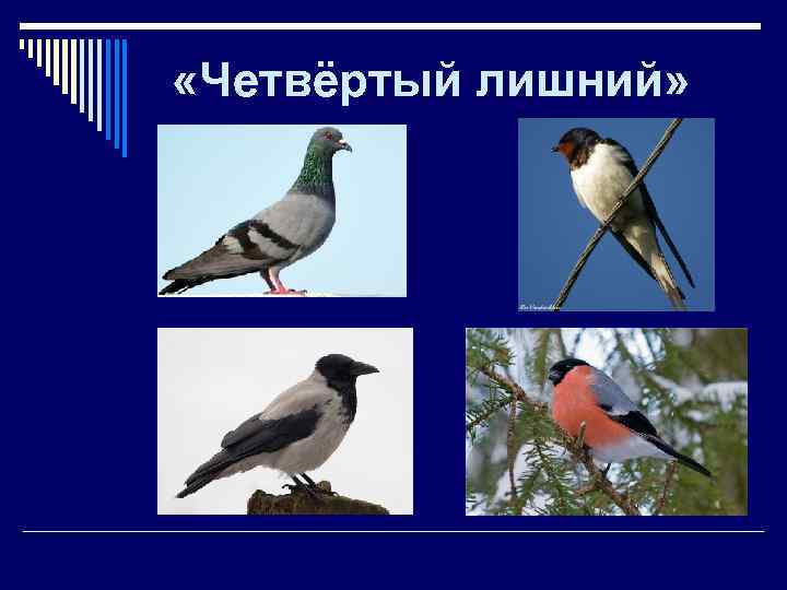  «Четвёртый лишний» 