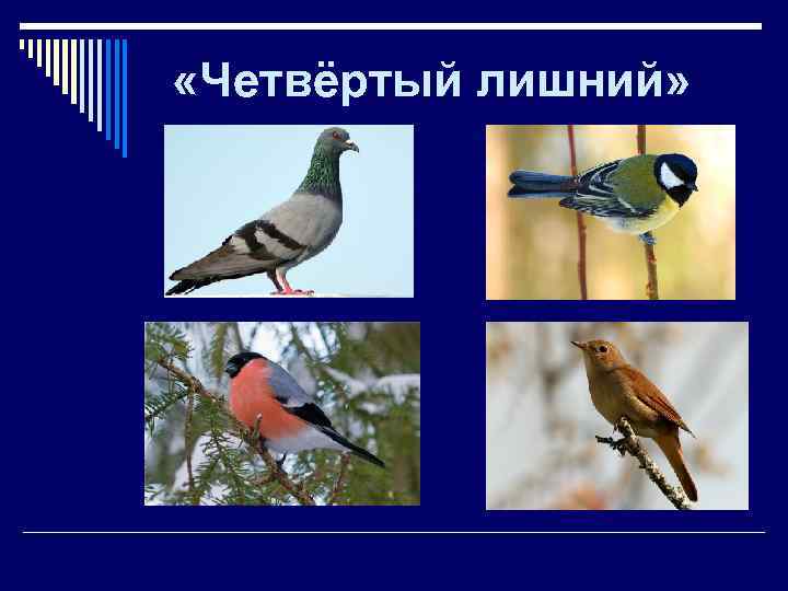  «Четвёртый лишний» 