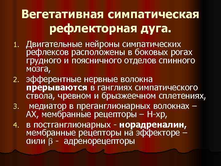 Вегетативная симпатическая рефлекторная дуга. 1. Двигательные нейроны симпатических рефлексов расположены Вегетативная симпатическая рефлекторная дуга. 1. Двигательные нейроны симпатических рефлексов расположены
