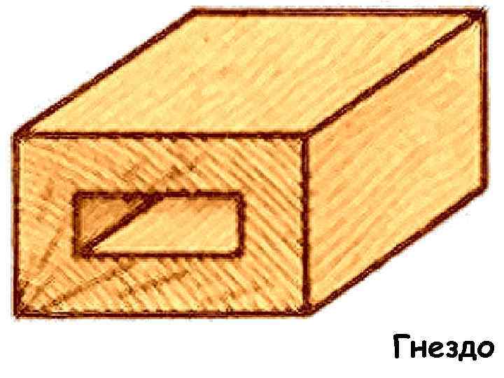 Гнездо 