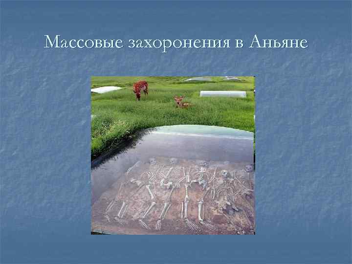 Массовые захоронения в Аньяне 