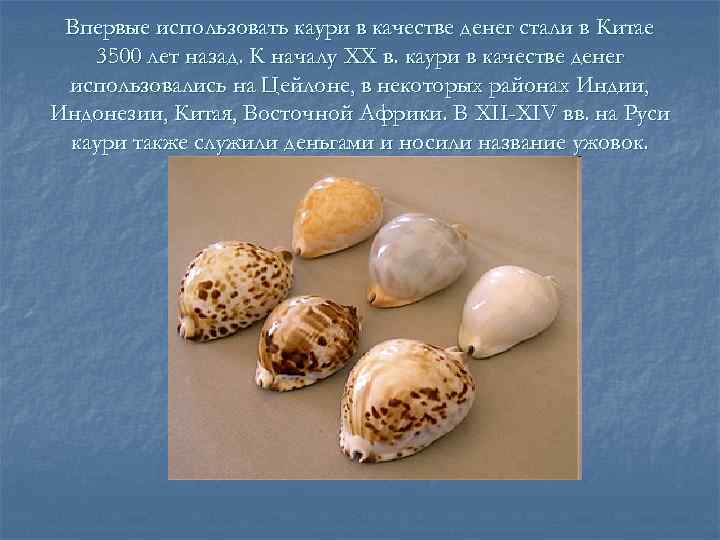  Впервые использовать каури в качестве денег стали в Китае  3500 лет назад.