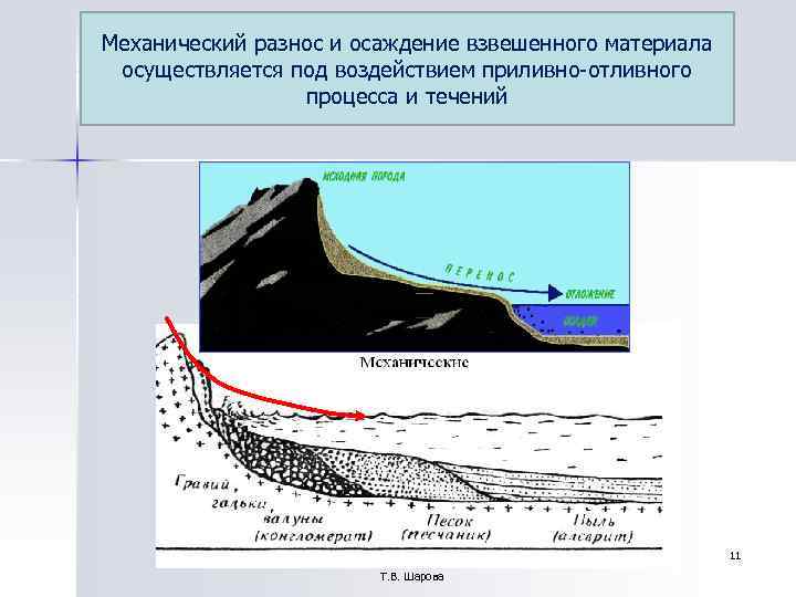 Механический разнос и осаждение взвешенного материала осуществляется под воздействием приливно-отливного процесса и Механический разнос и осаждение взвешенного материала осуществляется под воздействием приливно-отливного процесса и