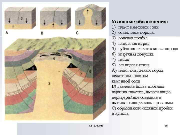 Равнины в основании которых залегает древняя