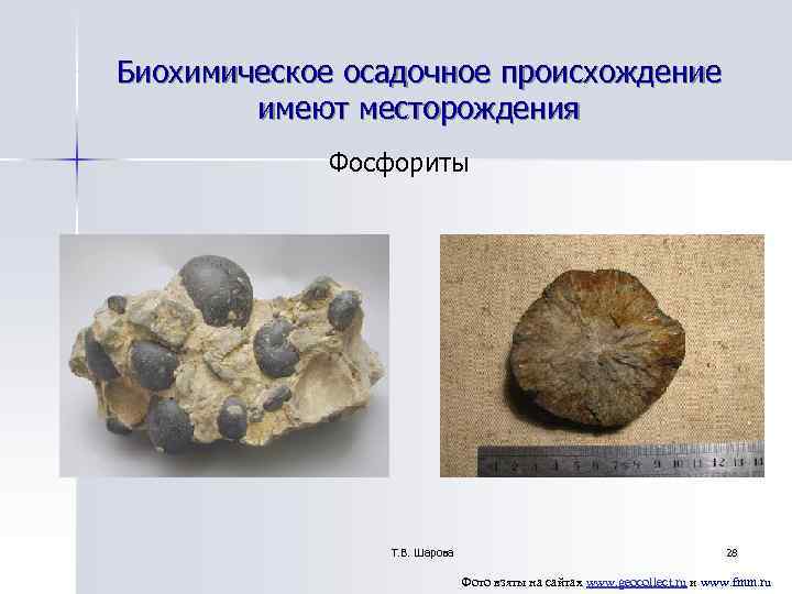 Биохимическое осадочное происхождение имеют месторождения Фосфориты Биохимическое осадочное происхождение имеют месторождения Фосфориты