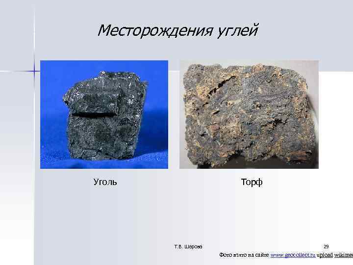 Месторождения углей Уголь Торф Т. В. Шарова Месторождения углей Уголь Торф Т. В. Шарова