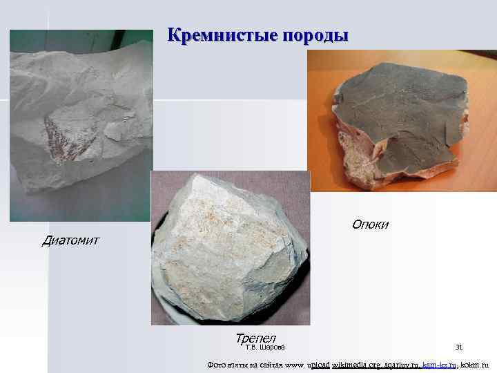 Кремнистые породы Опоки Диатомит Кремнистые породы Опоки Диатомит