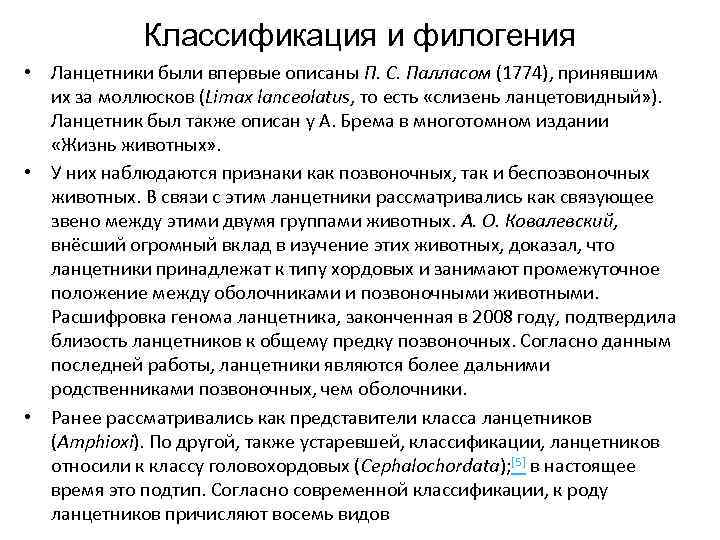    Классификация и филогения • Ланцетники были впервые описаны П. С. Палласом