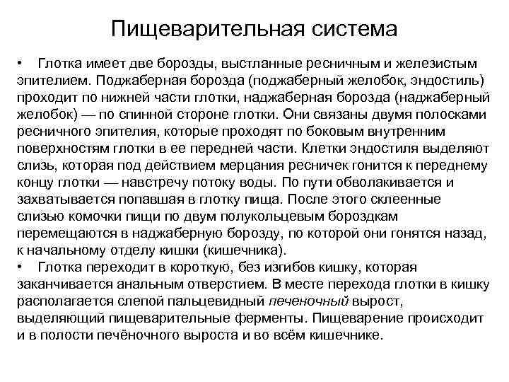    Пищеварительная система • Глотка имеет две борозды, выстланные ресничным и железистым