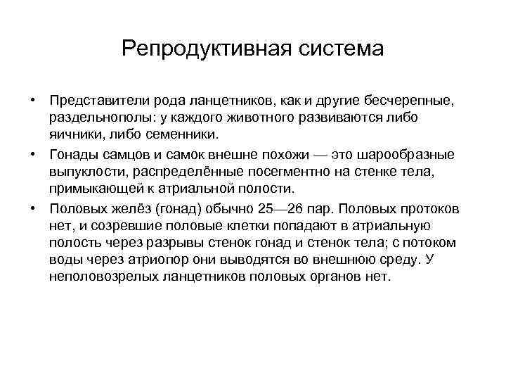    Репродуктивная система  • Представители рода ланцетников, как и другие бесчерепные,