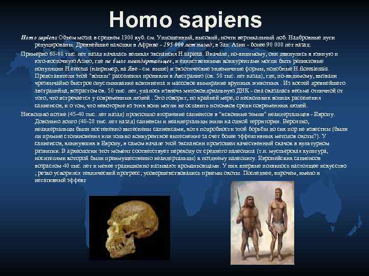 Homo объем мозга. Хомо сапиенс объем мозга. Homo sapiens Возраст вида. Хомо сапиенс Эволюция. Этапы стадии развития человека homo sapiens.