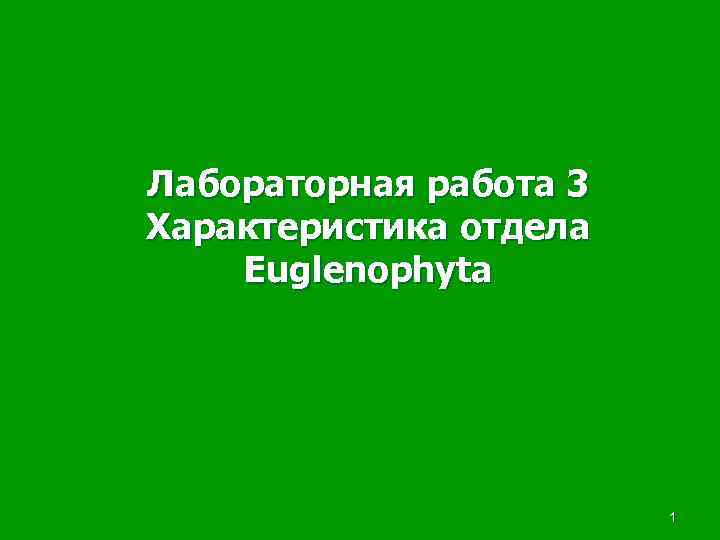 Лабораторная работа 3 Характеристика отдела Euglenophyta     1 