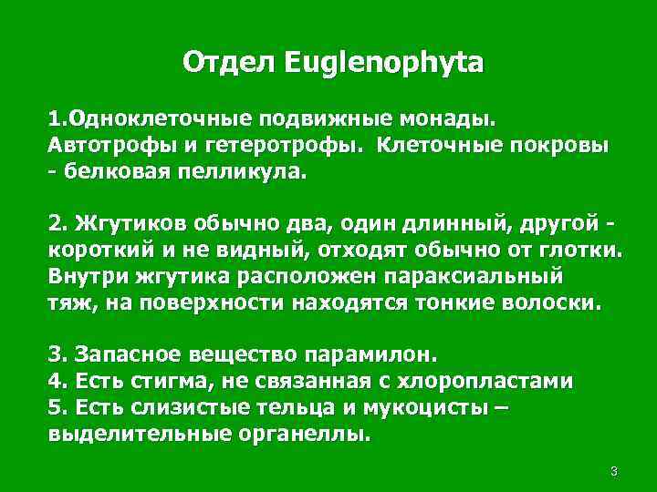   Отдел Euglenophyta 1. Одноклеточные подвижные монады. Автотрофы и гетеротрофы. Клеточные покровы -