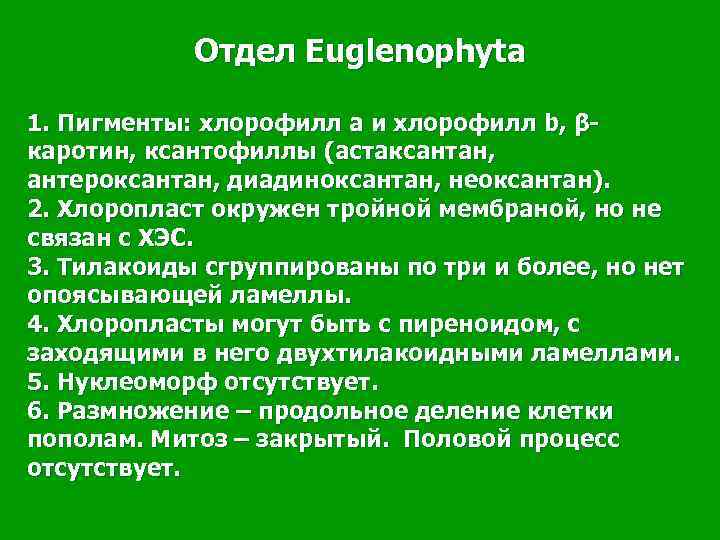   Отдел Euglenophyta 1. Пигменты: хлорофилл а и хлорофилл b, β- каротин, ксантофиллы