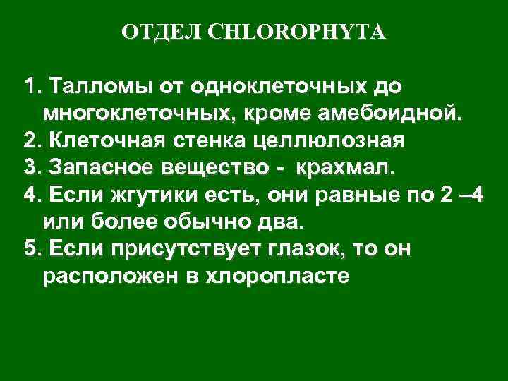   ОТДЕЛ CHLOROPHYTA 1. Талломы от одноклеточных до  многоклеточных, кроме амебоидной. 2.