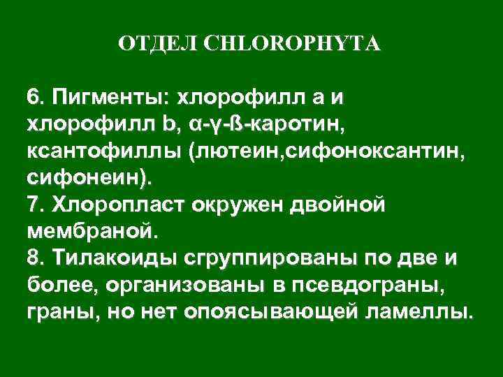   ОТДЕЛ CHLOROPHYTA 6. Пигменты: хлорофилл а и хлорофилл b, α-γ-ß-каротин, ксантофиллы (лютеин,