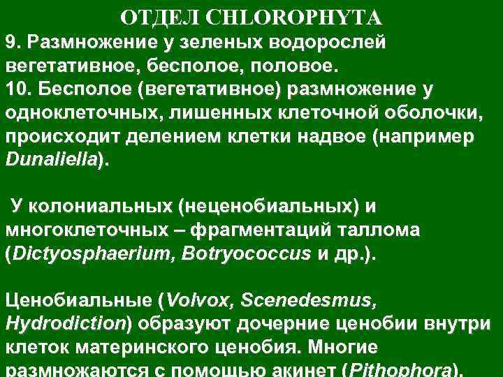    ОТДЕЛ CHLOROPHYTA 9. Размножение у зеленых водорослей вегетативное, бесполое, половое. 10.