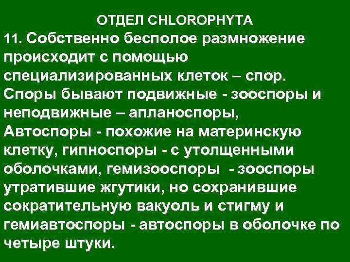    ОТДЕЛ CHLOROPHYTA 11. Собственно бесполое размножение происходит с помощью специализированных клеток