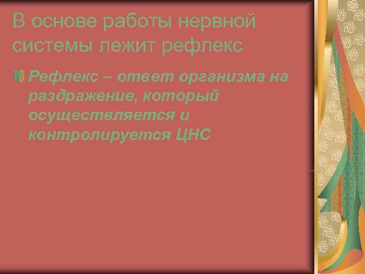 В основе работы нервной системы лежит рефлекс Рефлекс – ответ организма на раздражение, который