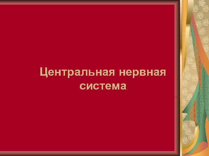 Центральная нервная  система 