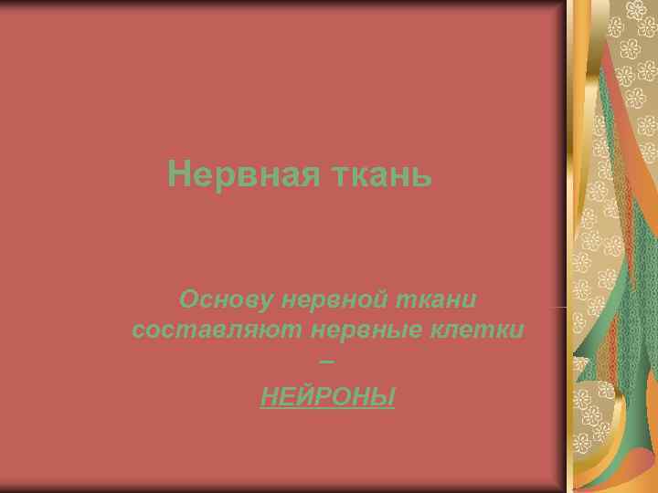  Нервная ткань Основу нервной ткани составляют нервные клетки   –  