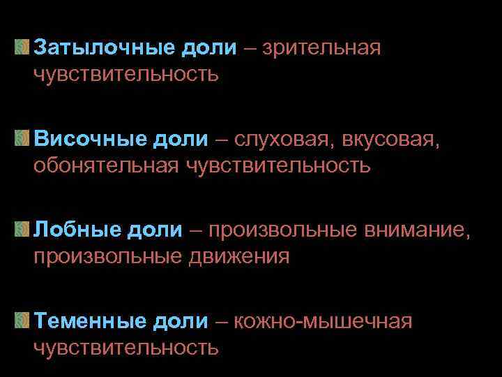 Затылочные доли – зрительная чувствительность Височные доли – слуховая, вкусовая, обонятельная чувствительность Лобные доли