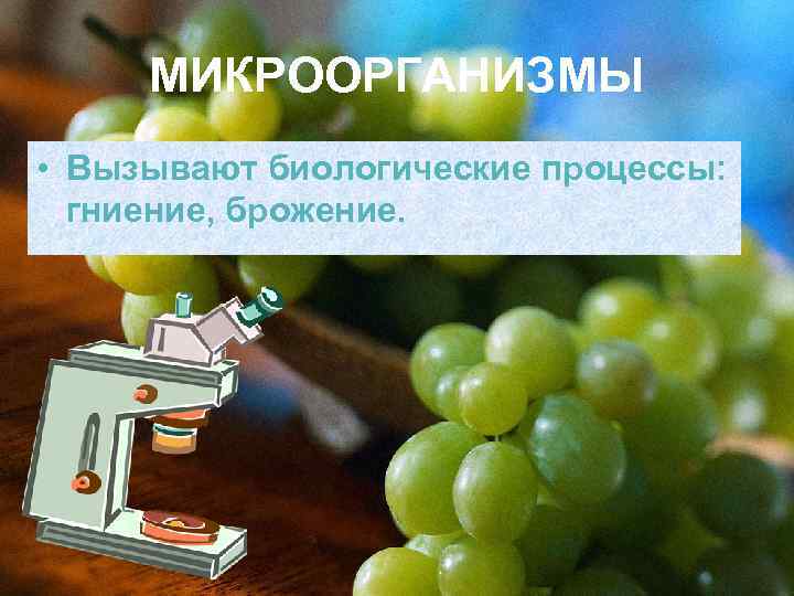  МИКРООРГАНИЗМЫ • Вызывают биологические процессы:  гниение, брожение. 