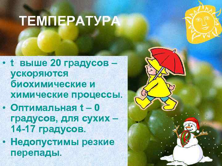   ТЕМПЕРАТУРА  • t выше 20 градусов –  ускоряются  биохимические
