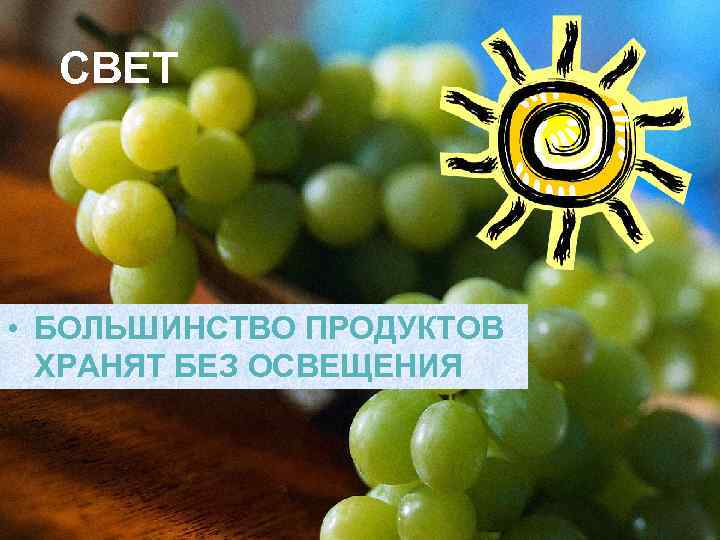  СВЕТ • БОЛЬШИНСТВО ПРОДУКТОВ  ХРАНЯТ БЕЗ ОСВЕЩЕНИЯ 