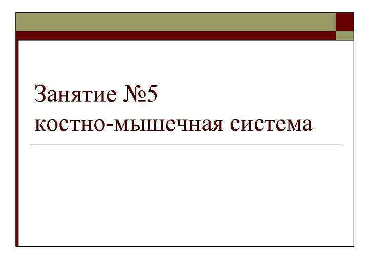 Занятие № 5 костно-мышечная система 