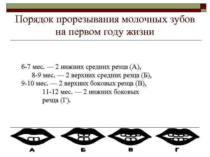 Порядок прорезывания молочных зубов   на первом году жизни  6 -7 мес.