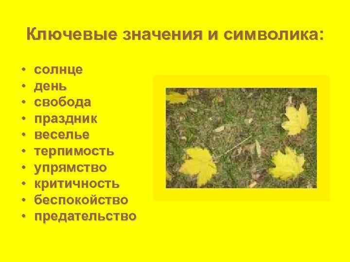 Ключевые значения и символика:  •  солнце •  день •  свобода