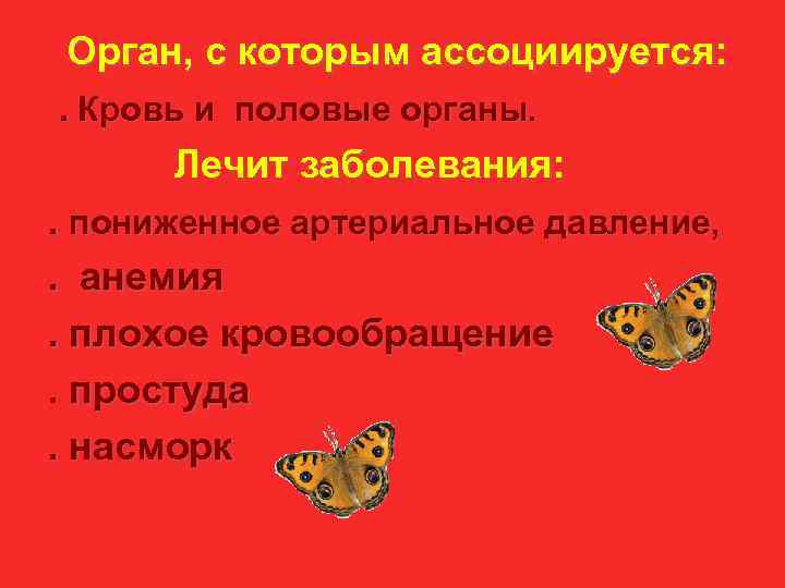  Орган, с которым ассоциируется: . Кровь и половые органы.   Лечит заболевания: