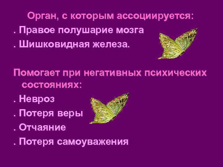   Орган, с которым ассоциируется: . Правое полушарие мозга. Шишковидная железа.  Помогает
