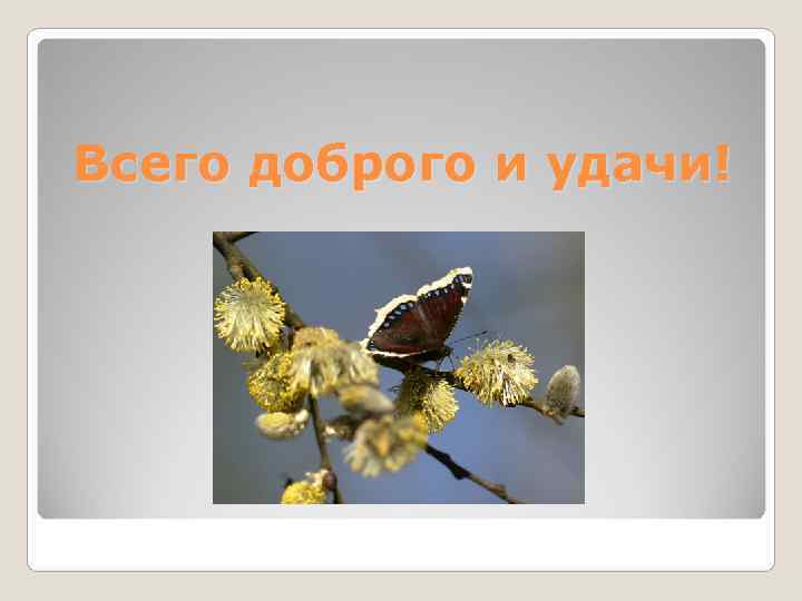 Всего доброго и удачи! Всего доброго и удачи!