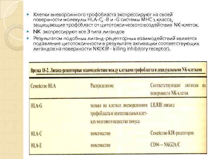 Клетки вневорсинного трофобласта экспрессируют на своей поверхности молекулы НLA-C, -В и -G Клетки вневорсинного трофобласта экспрессируют на своей поверхности молекулы НLA-C, -В и -G