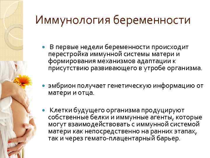 Иммунология репродукции презентация