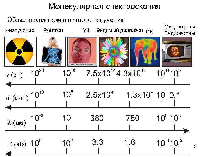 Импедансная спектроскопия окрашенных металлических образцов позволяет