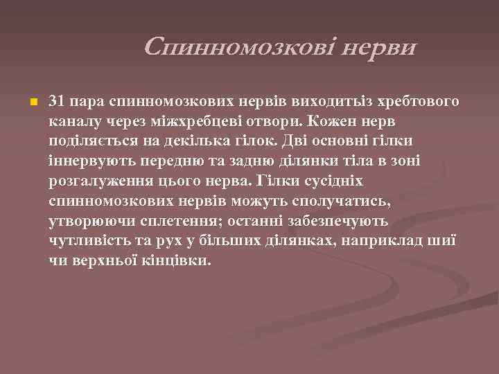     Спинномозкові нерви n  31 пара спинномозкових нервів виходитьіз хребтового