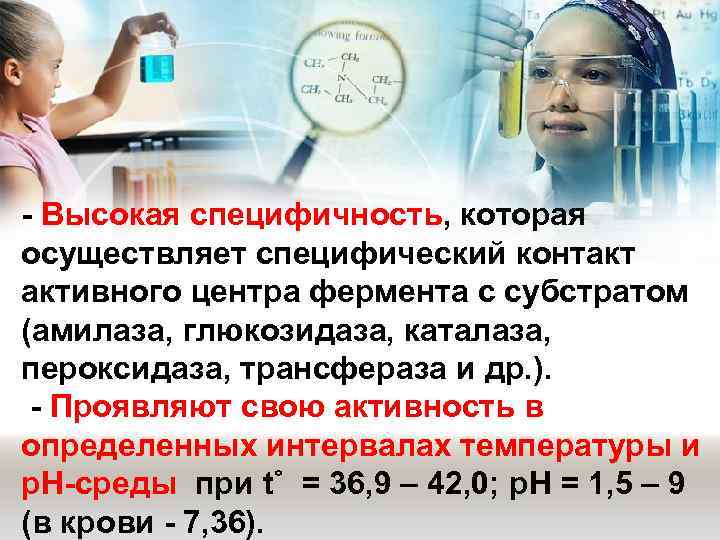 - Высокая специфичность, которая осуществляет специфический контакт активного центра фермента с субстратом (амилаза, глюкозидаза,