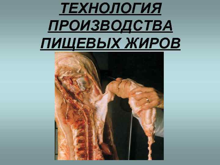  ТЕХНОЛОГИЯ ПРОИЗВОДСТВА ПИЩЕВЫХ ЖИРОВ 