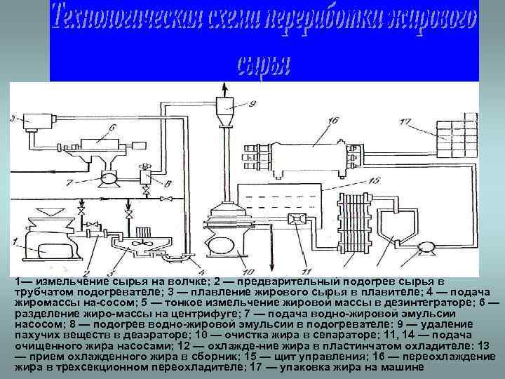 Современные технологии пищевых производств презентация