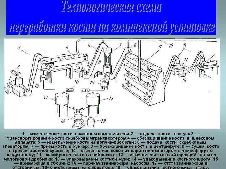    1— измельчение кости в силовом измельчители; 2 — подача кости в